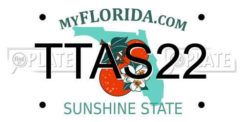 TTAS22 Florida License Plate