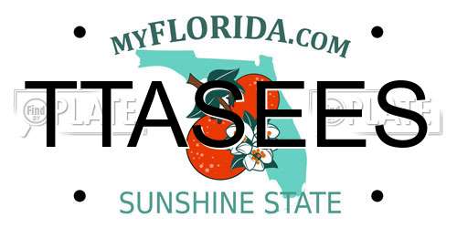 TTASEES Florida License Plate