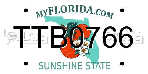 TTB0766 Florida License Plate