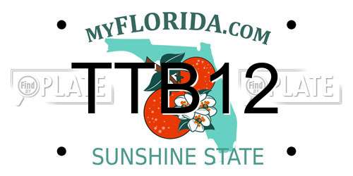 TTB12 Florida License Plate