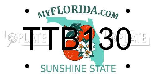 TTB130 Florida License Plate