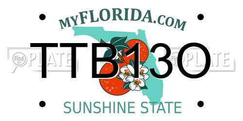 TTB13O Florida License Plate