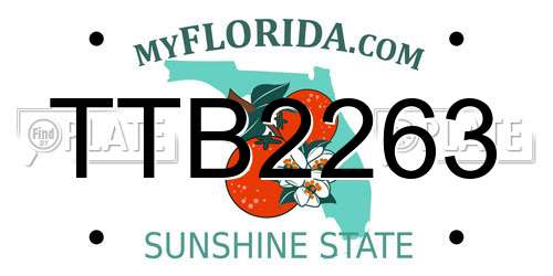 TTB2263 Florida License Plate
