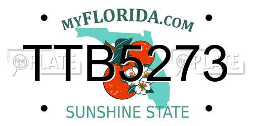 TTB5273 Florida License Plate