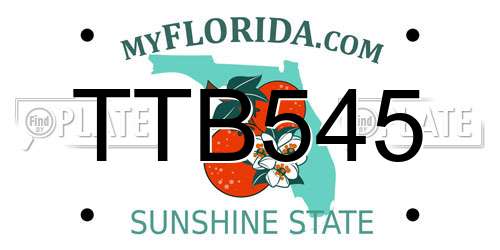 TTB545 Florida License Plate