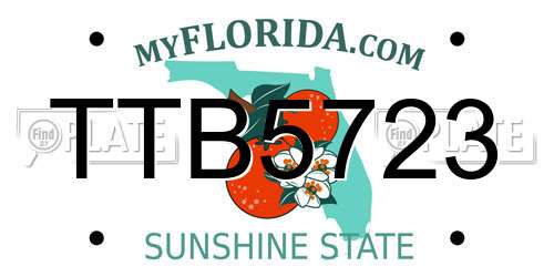 TTB5723 Florida License Plate