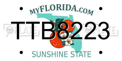 TTB8223 Florida License Plate