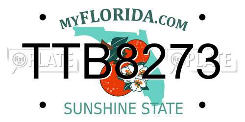 TTB8273 Florida License Plate