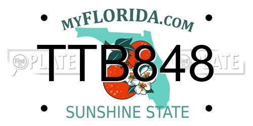 TTB848 Florida License Plate