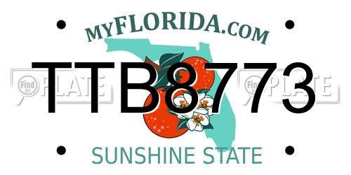 TTB8773 Florida License Plate