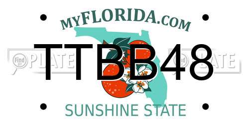 TTBB48 Florida License Plate