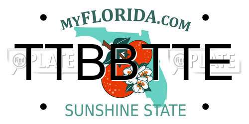 TTBBTTE Florida License Plate
