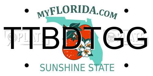 TTBDTGG Florida License Plate