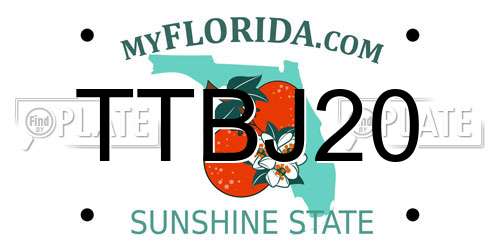 TTBJ20 Florida License Plate