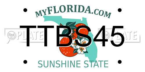 TTBS45 Florida License Plate