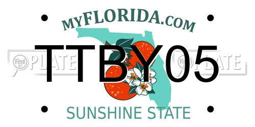 TTBY05 Florida License Plate