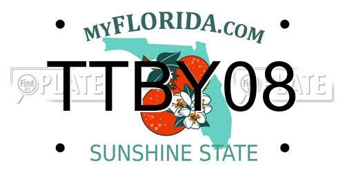 TTBY08 Florida License Plate
