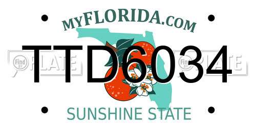 TTD6034 Florida License Plate