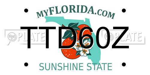 TTD60Z Florida License Plate