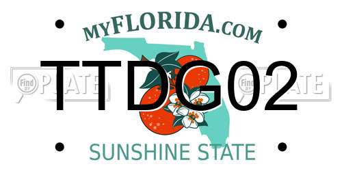 TTDG02 Florida License Plate