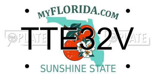TTE32V Florida License Plate