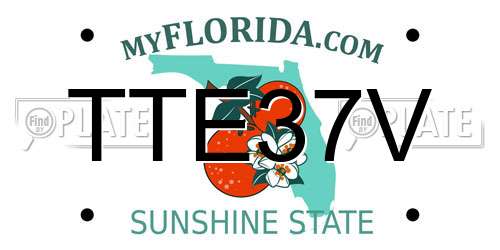TTE37V Florida License Plate