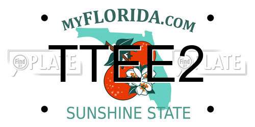 TTEE2 Florida License Plate