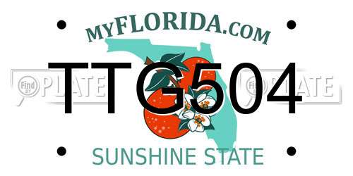 TTG504 Florida License Plate