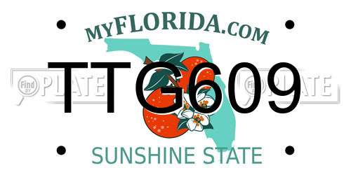 TTG609 Florida License Plate