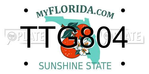 TTG804 Florida License Plate