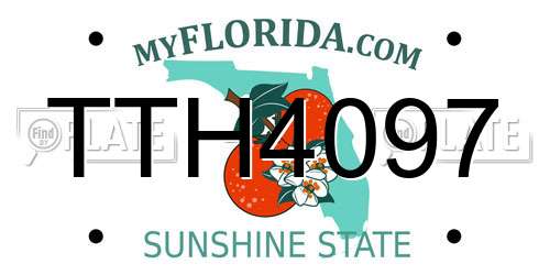 TTH4097 Florida License Plate