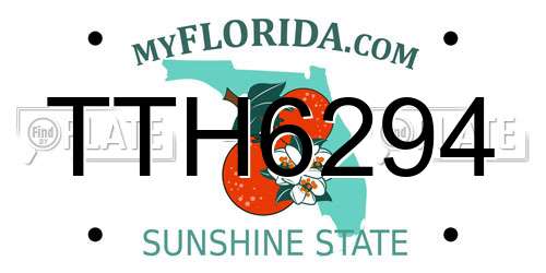 TTH6294 Florida License Plate