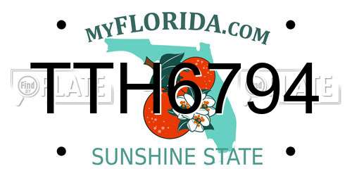 TTH6794 Florida License Plate