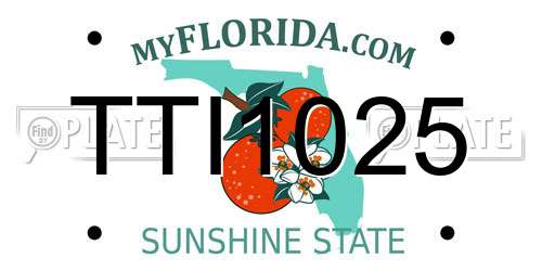 TTI1025 Florida License Plate