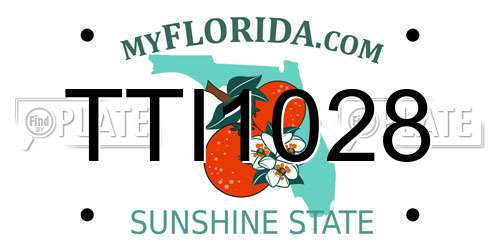 TTI1028 Florida License Plate