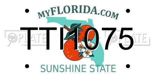 TTI1075 Florida License Plate