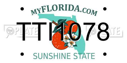 TTI1078 Florida License Plate