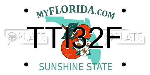 TTI32F Florida License Plate