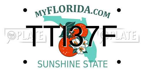 TTI37F Florida License Plate