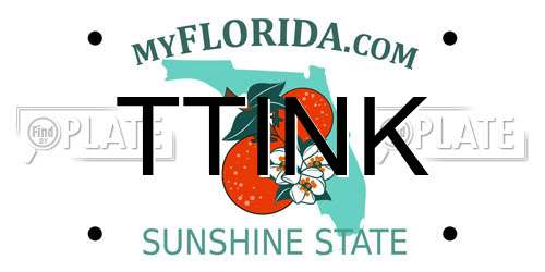 TTINK Florida License Plate