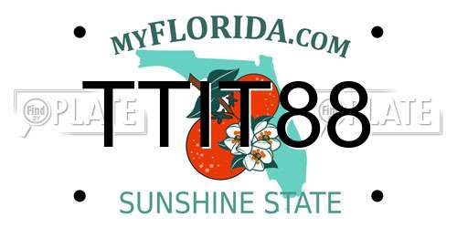 TTIT88 Florida License Plate