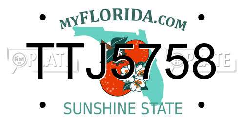 TTJ5758 Florida License Plate