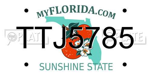 TTJ5785 Florida License Plate