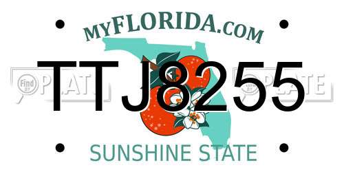 TTJ8255 Florida License Plate