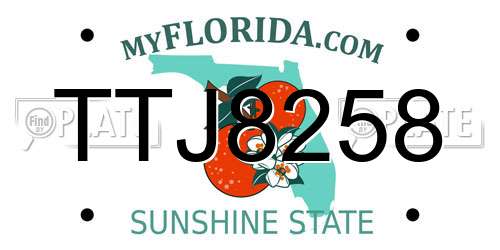 TTJ8258 Florida License Plate