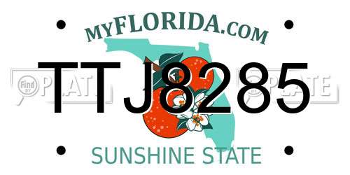 TTJ8285 Florida License Plate