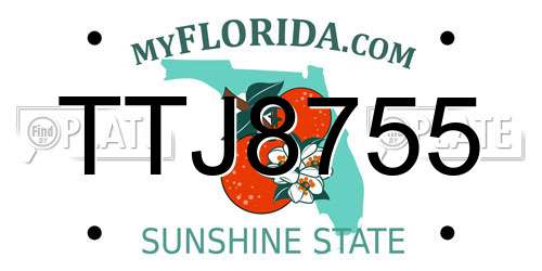 TTJ8755 Florida License Plate