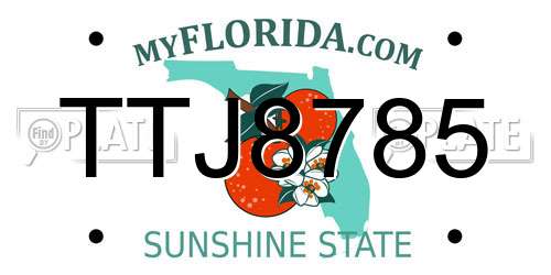 TTJ8785 Florida License Plate