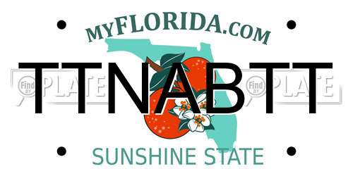 TTNABTT Florida License Plate