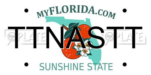 TTNASTT Florida License Plate